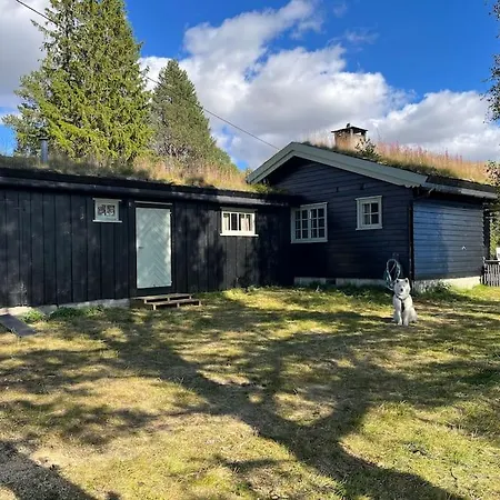 Σαλέ Traditional Norwegian Cabin In Rondane Mountains